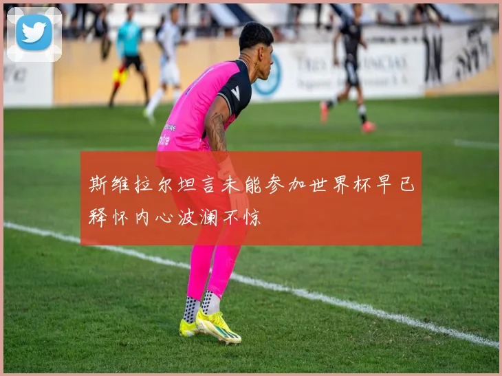 斯维拉尔坦言未能参加世界杯早已释怀内心波澜不惊